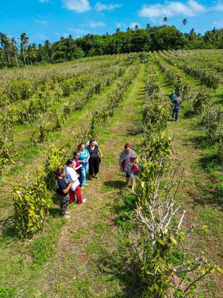 The Travel Guide to Vava'u on a Budget