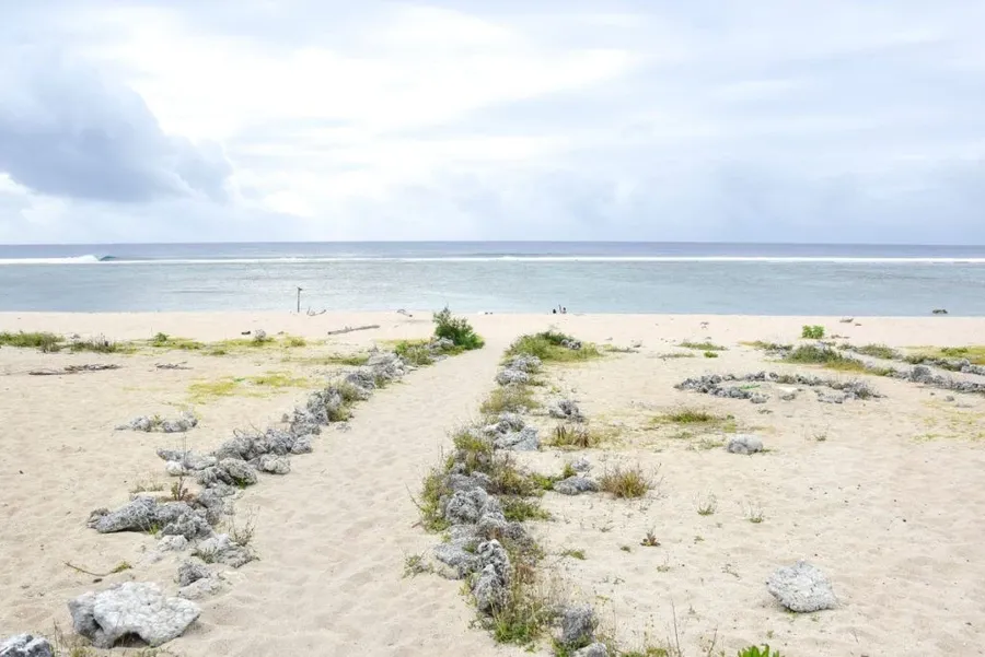 10 Best Places to See Whales in Tonga From Shore