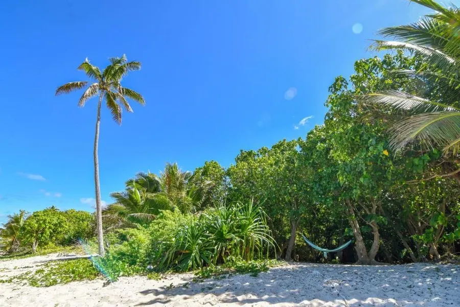 5 Best Places to Experience Yoga in Tonga
