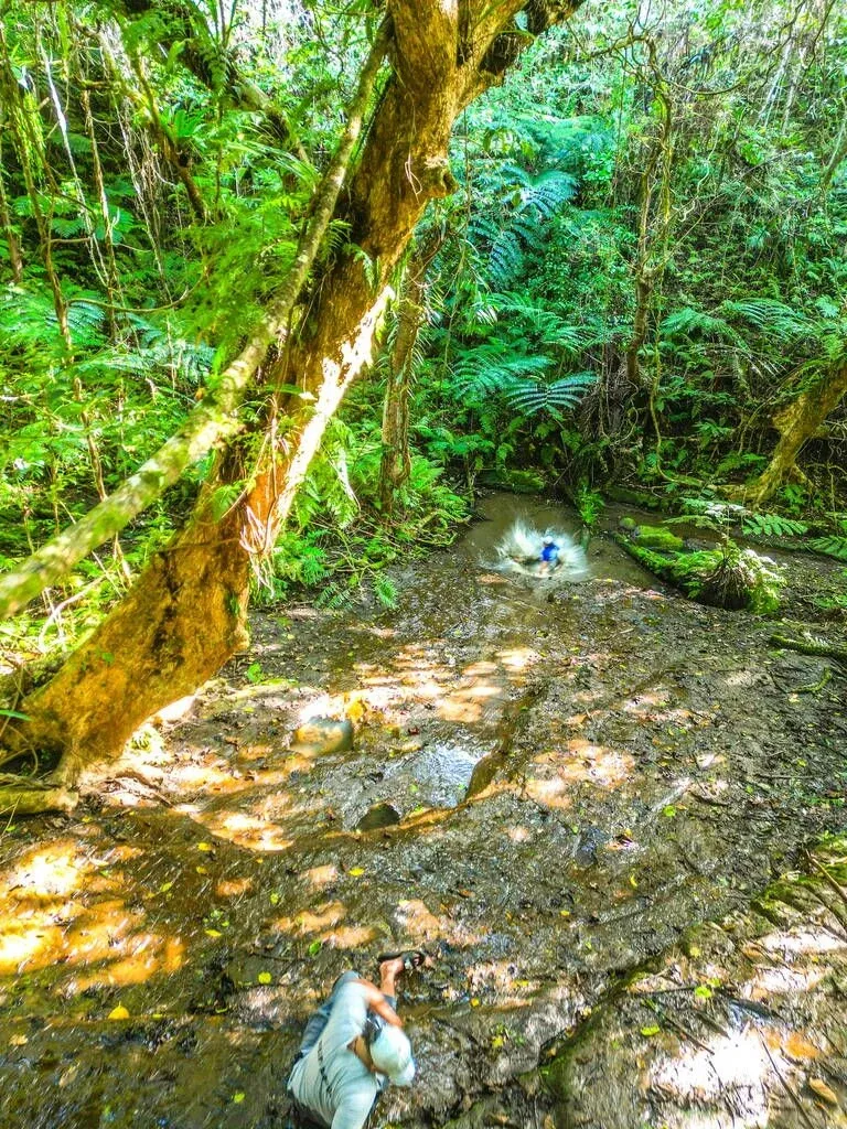 6 Things to Do in 'Eua with Kids
