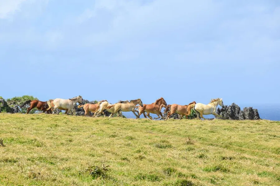 10 Best Things to Do in 'Eua