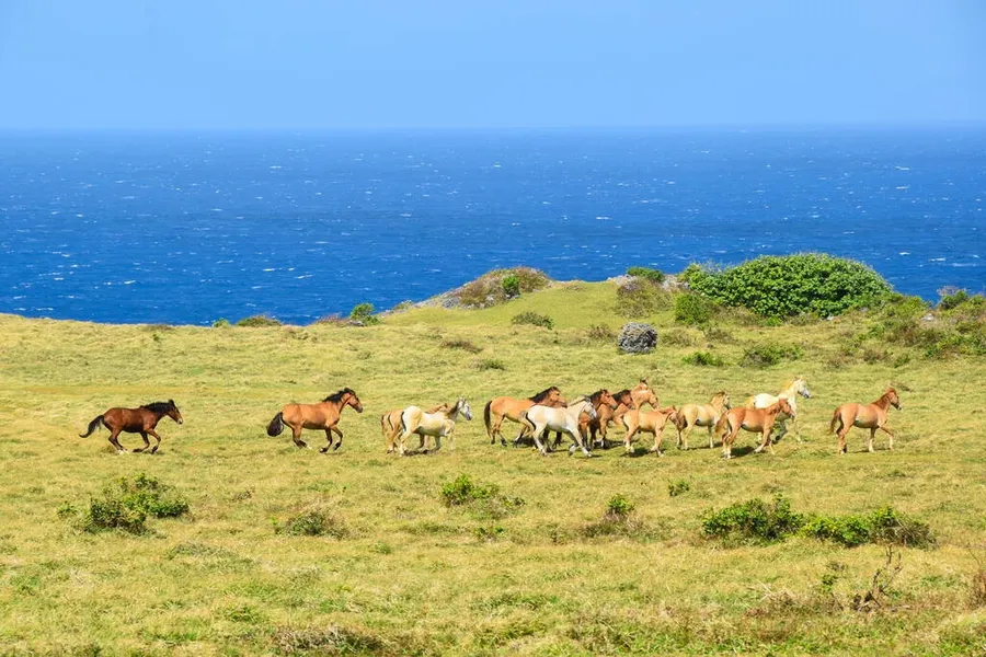8 Amazing Natural Attractions in 'Eua