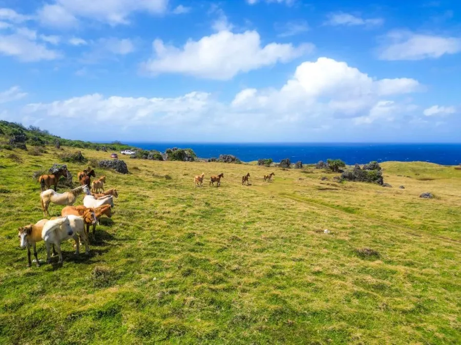 10 Best Walks & Hikes in Tonga