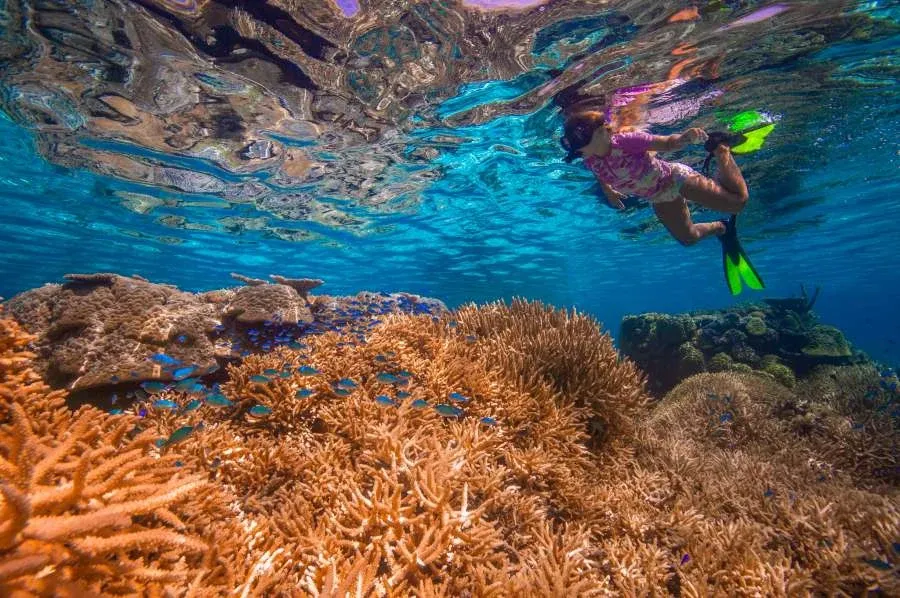 10 Things To Do in Haāapai with Kids