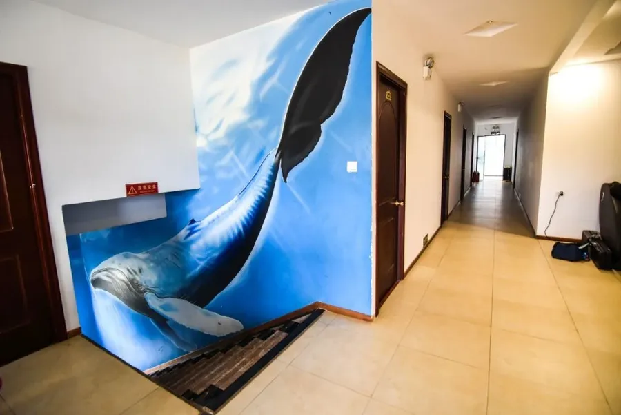 5 Best Hotels in Vava'u
