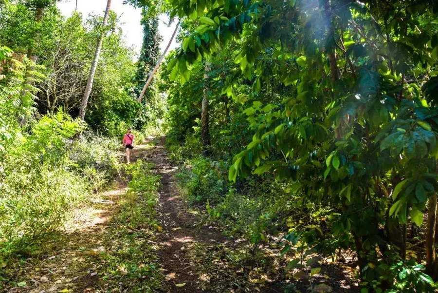 10 Best Walks & Hikes in Tonga