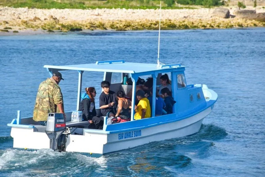 12 Best Boat Tours &amp; Day Cruises in Tonga