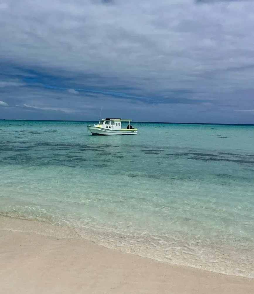 12 Best Boat Tours & Day Cruises in Tonga