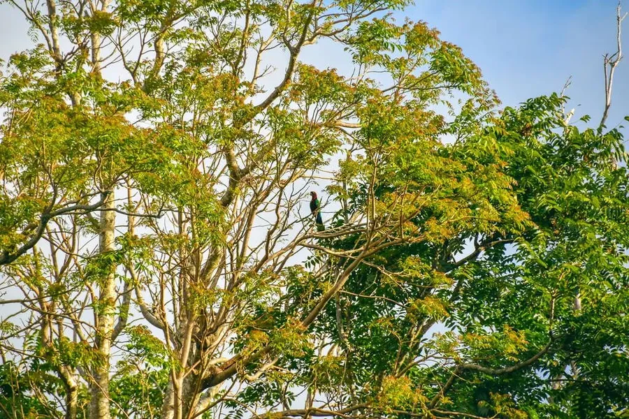 8 Amazing Natural Attractions in 'Eua