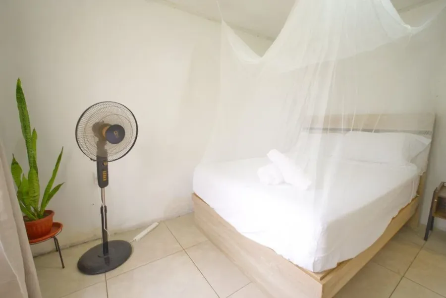 6 Best Budget Accommodations in Ha'apai