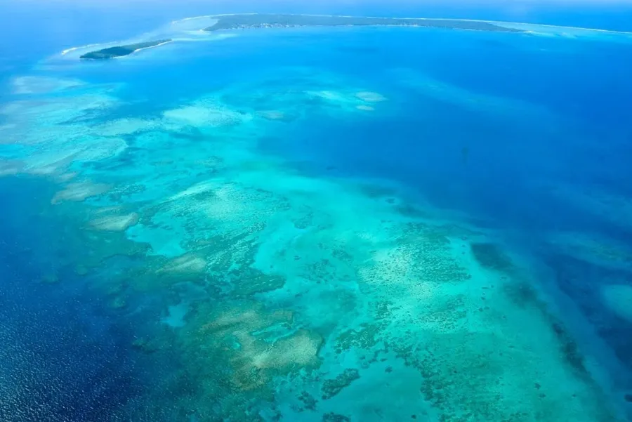 The Best Time to Visit Tonga: A Month-by-Month Guide
