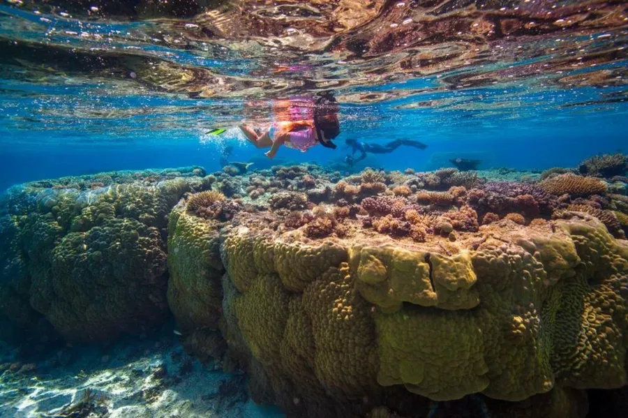 The Travel Guide to Tonga for Families