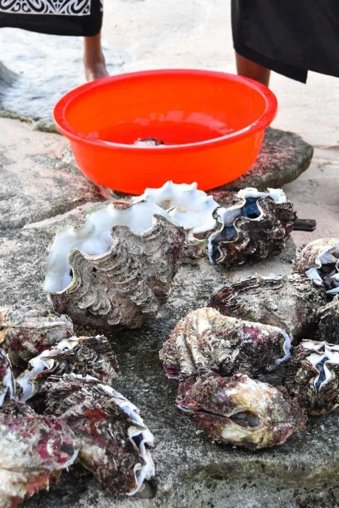 The Foodie Guide to Ha'apai