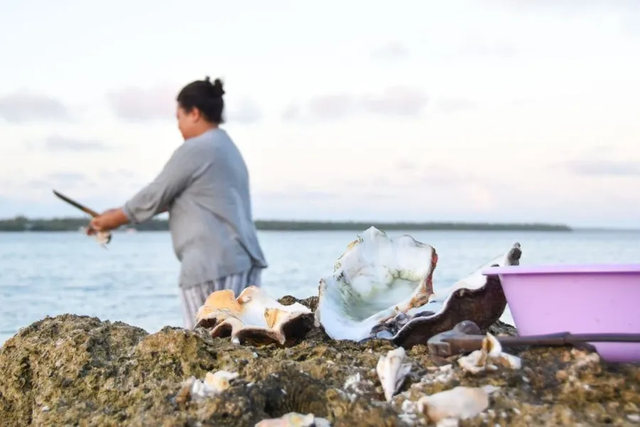 Tonga Food Itinerary: 14 Days / 2 Weeks