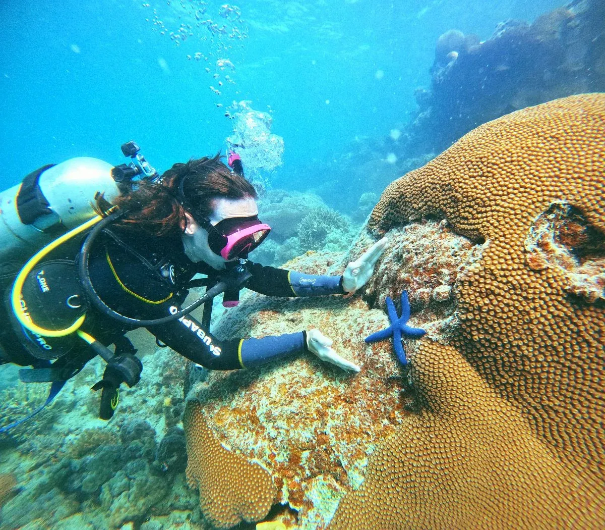 The Best Snorkel &amp; Scuba Dive Tours in Ha'apai