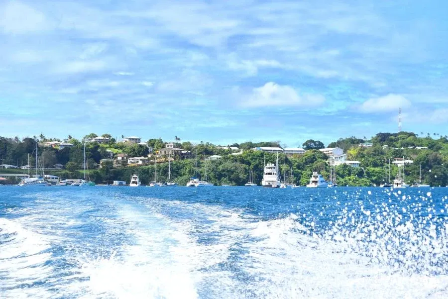 10 Tips for Taking the Ferry in Tonga