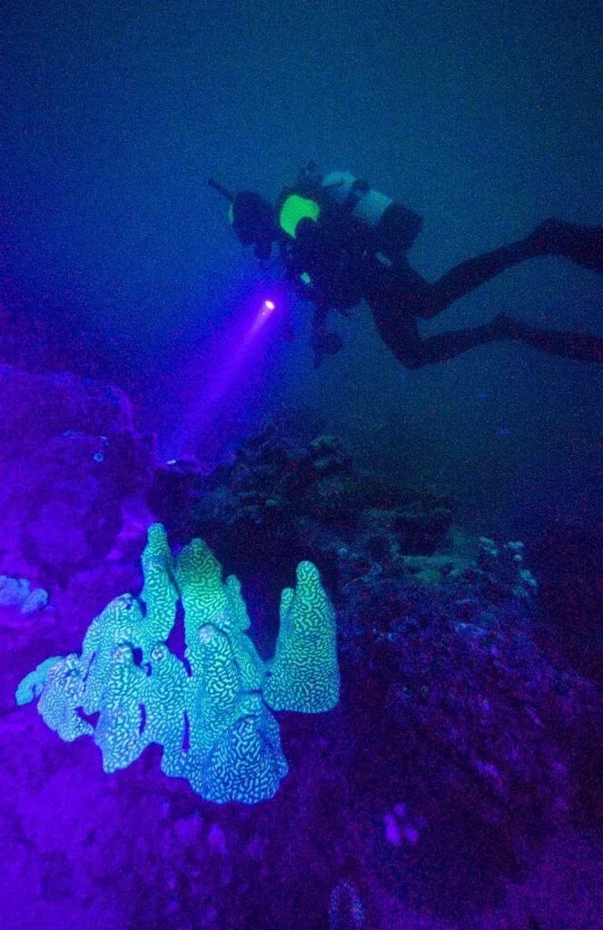 10 Adult-Only Activities in Vava'u