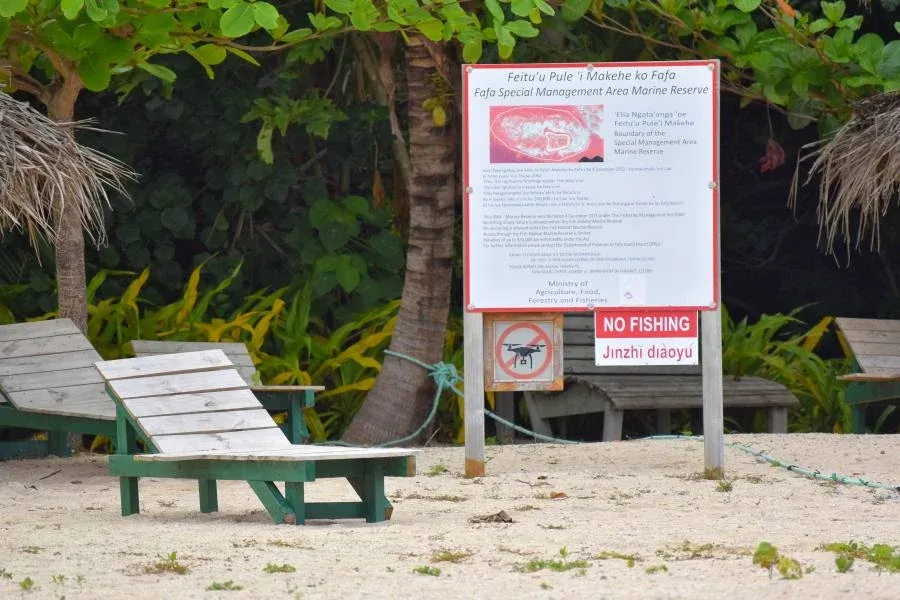How to Register a Drone in Tonga