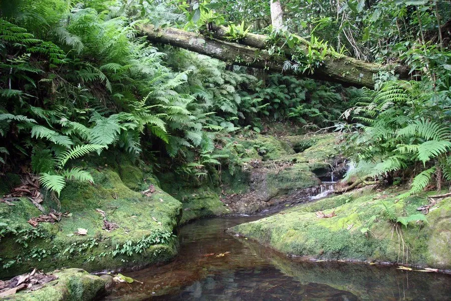 OUTER ISLAND Eua Hafu moe heke pool Feature Mandatory Credit Tonga Ministry Of Tourism