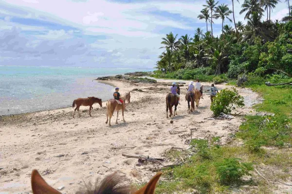 Tonga Family Itinerary: 7 Days