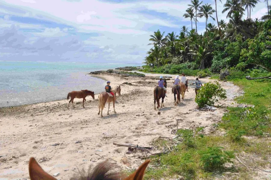 Tonga Family Itinerary: 7 Days