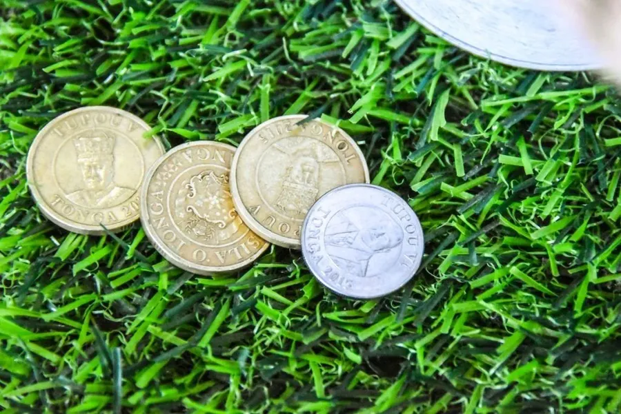 What is the Currency in Tonga?