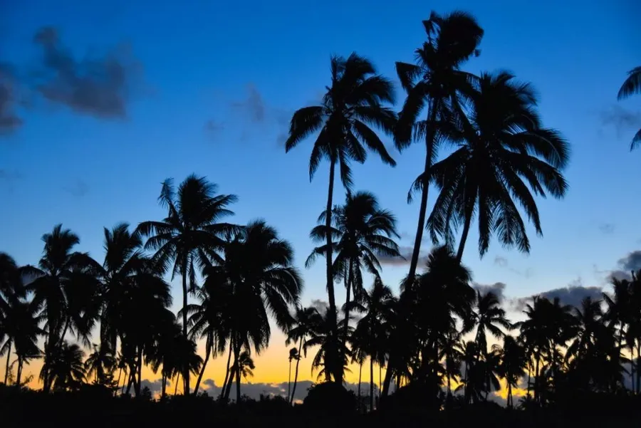 Tonga Weather in December