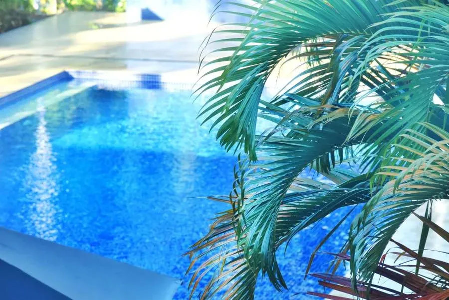 How to Pick the Best Luxury Accommodation in Tonga for You