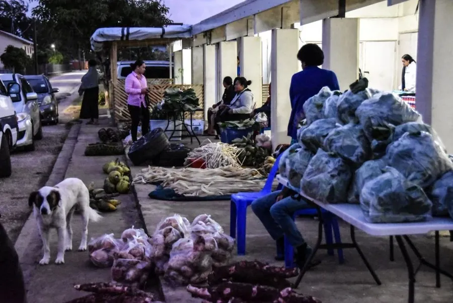 Tonga Food Itinerary: 14 Days / 2 Weeks
