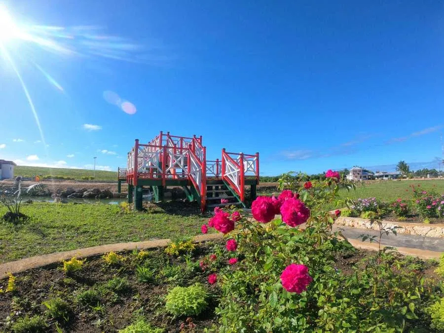 10 Things to Do in Nuku’alofa with Kids