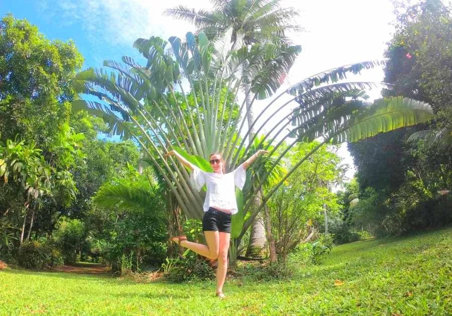 10 Questions to Ask Your Travel Agent When Booking Your Holiday in Tonga