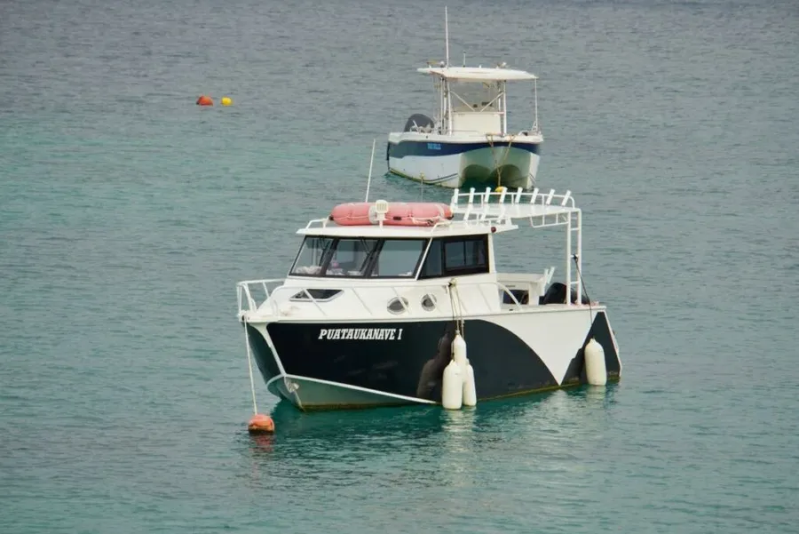 11 Best Boat Tours &amp; Day Cruises in Tonga