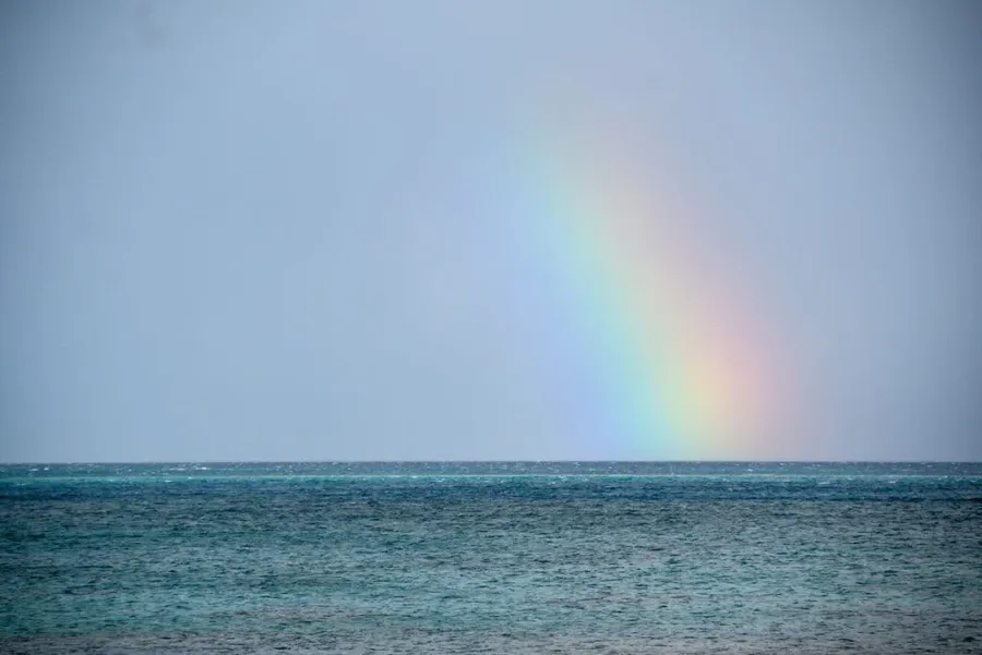10 Tips for Swimming with Whales in Tonga