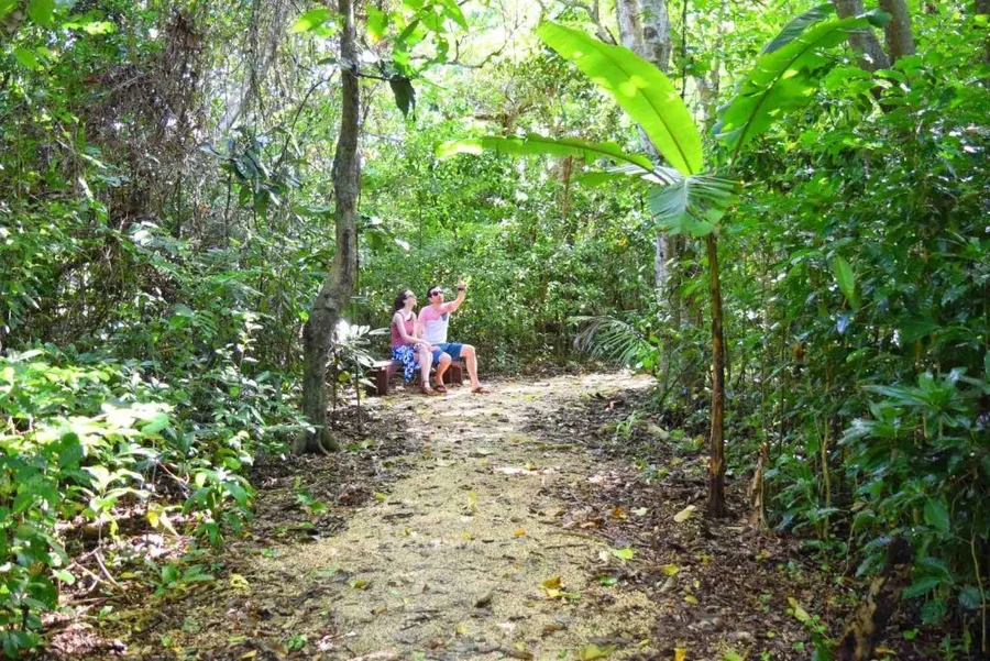10 Reasons to Travel in the Low Season in Tonga