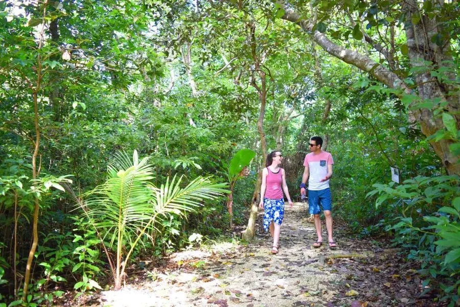 10 Best Hidden Gems in Tonga