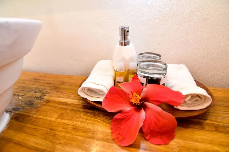 How to Pick the Best Luxury Accommodation in Tonga for You