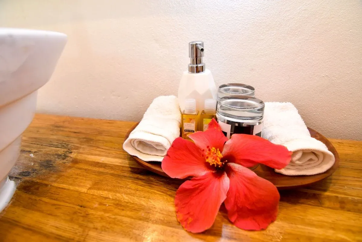 How to Pick the Best Luxury Accommodation in Tonga for You