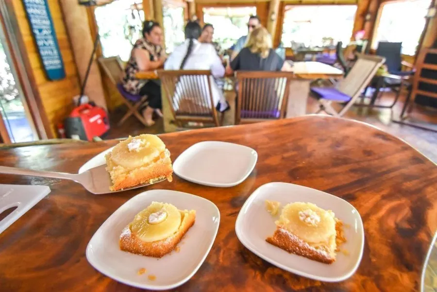 How to Pick the Best Foodie Accommodation in Tonga for You