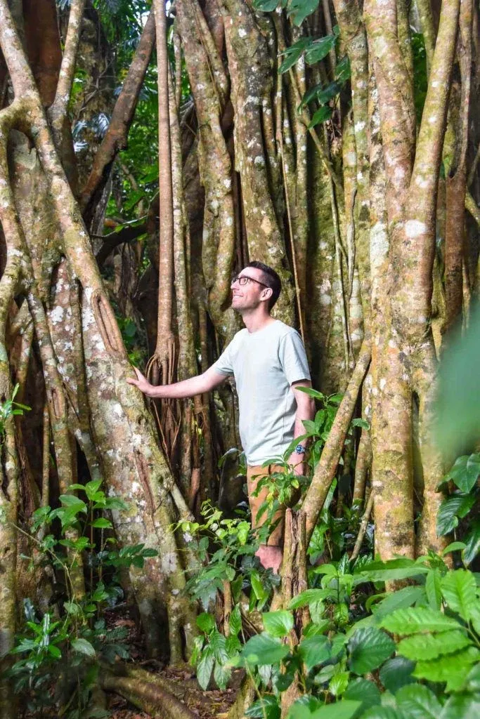 Wildlife in Tonga: Animals in Tonga & Where to See Them
