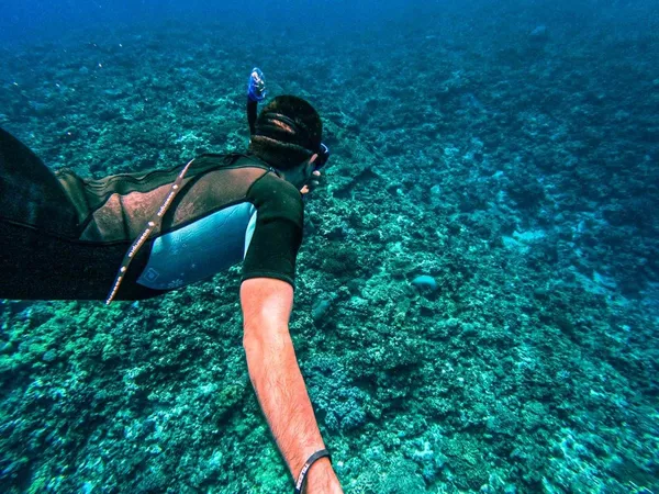 The Guide to Snorkelling in Tonga ????