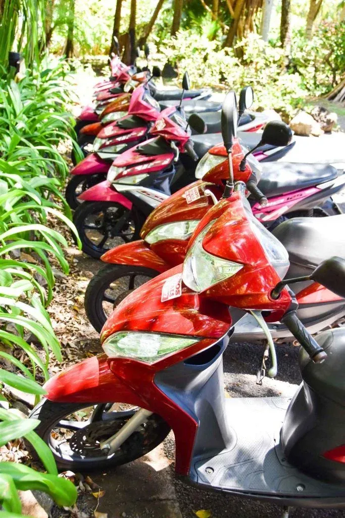 Can You Rent a Motorcycle in Tonga?