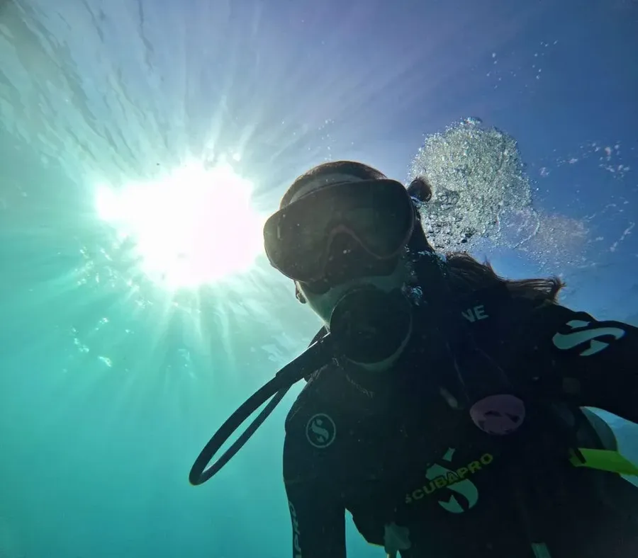 The Best Scuba Diving in Vava'u: Top 10 Places to Scuba Dive