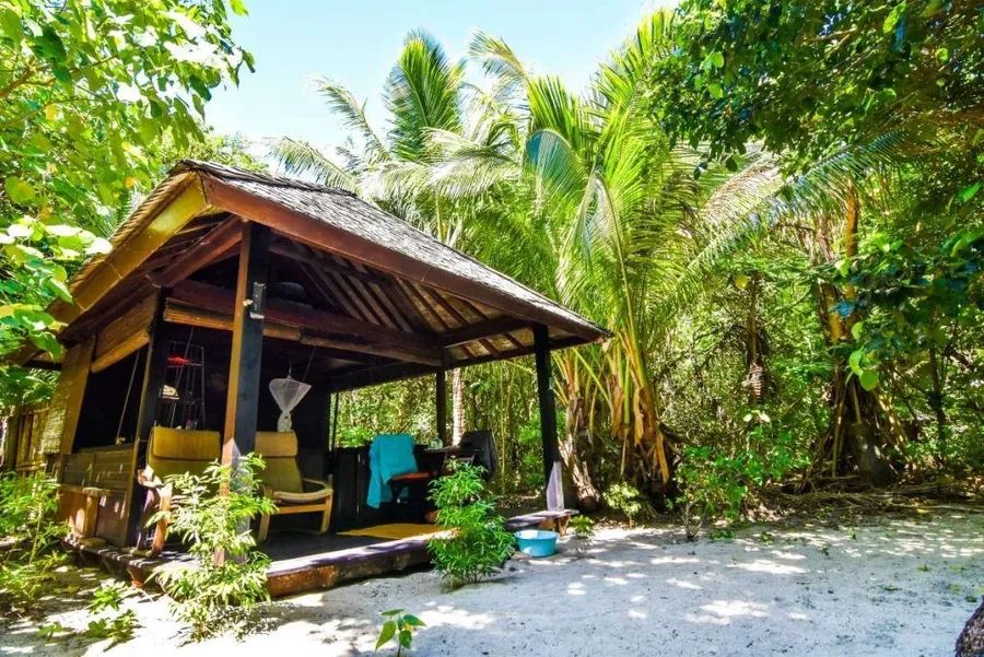 10 Best Resorts for Whale Swimming in Tonga