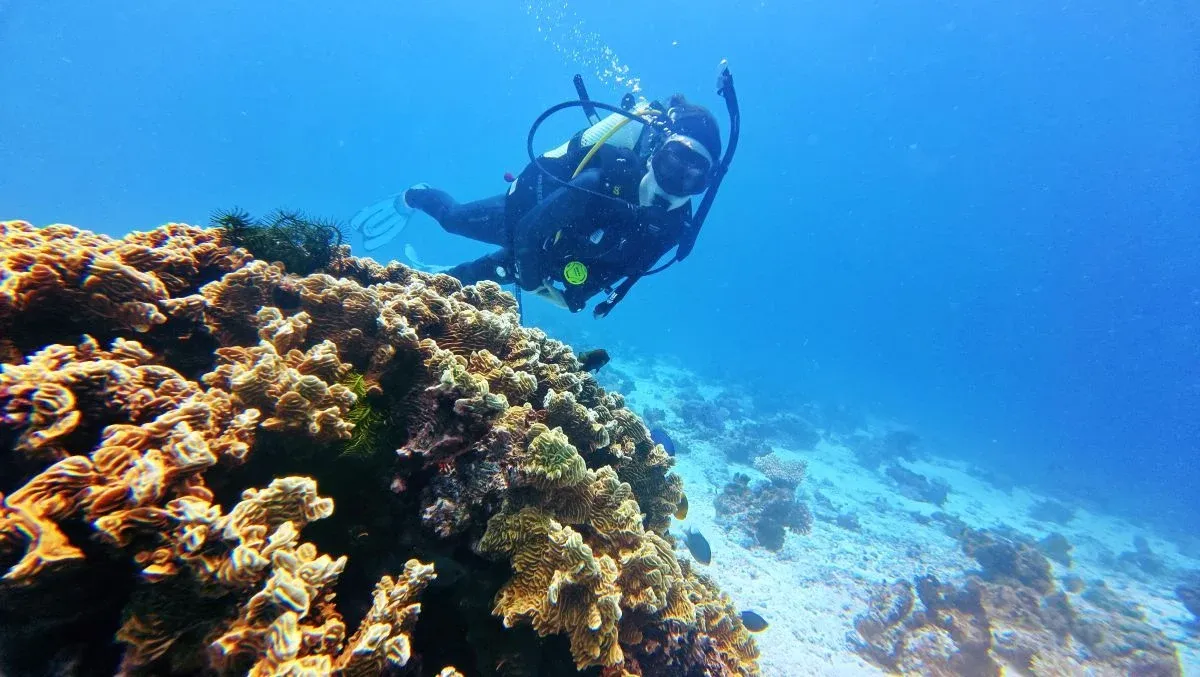 The Adults-Only Travel Guide to Vava'u