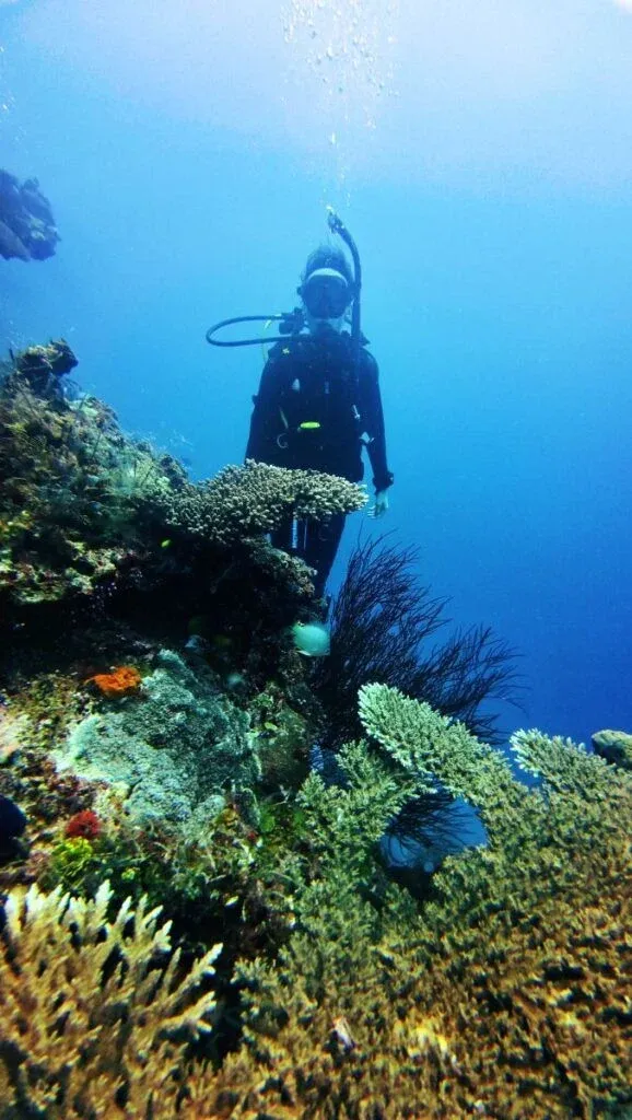 50 BEST Things to Do in Vava'u
