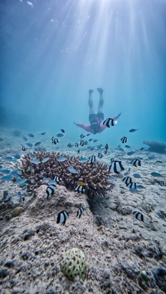Tonga Adults-Only Itinerary: 7 Days / 1 Week