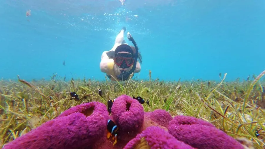 The Best Snorkelling in Tongatapu: 8 Best Places to Snorkel