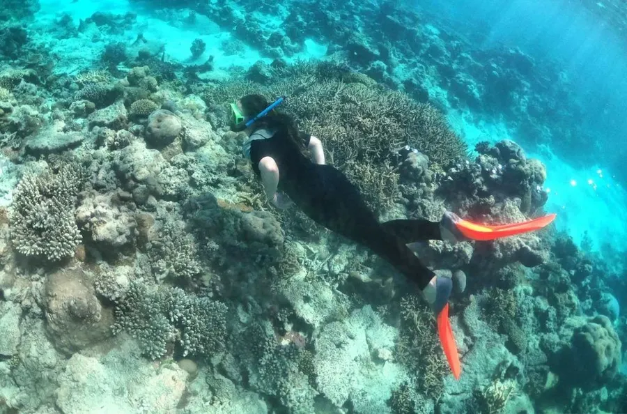 10 Best Things to Do on Niuatoputapu