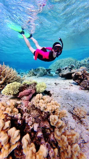The Best Snorkelling in Ha'apai: 4 Best Places to Snorkel