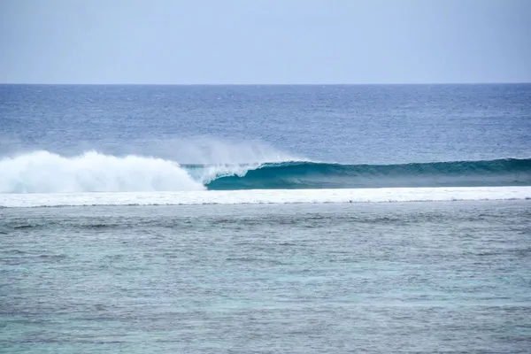 The Complete Guide to Surfing in Tonga